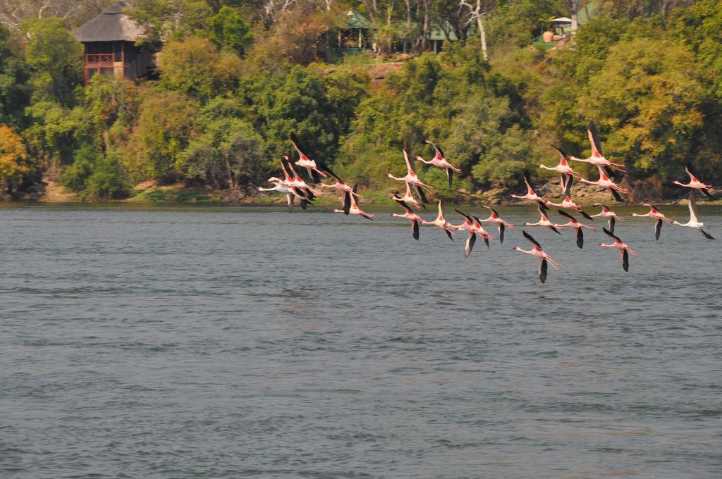 The River Club Livingstone Esterno foto